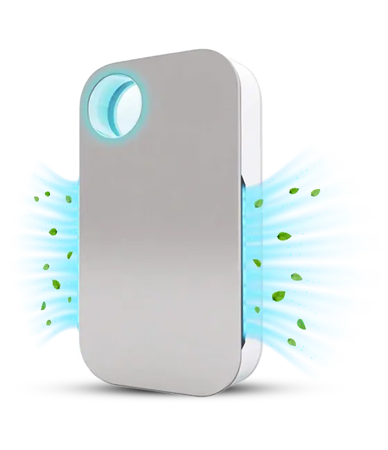 IonFix